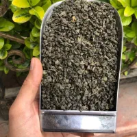 چای سبز ساچمه ای