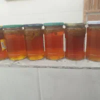 عسل طبیعی و خالص بشاگرد
