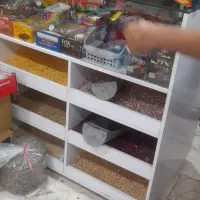 پاچال مغازه جا حبوباتی ویترین کامل