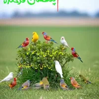 سرگرمی و فراغت