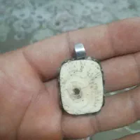 مهره اصل سلیمانی
