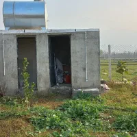 زمین باغی شموشک