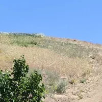 زمین آماده احداث باغ با چشمه اختصاصی