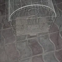 قفسه قناری و طوطی