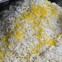 استخدام کارگر ساده