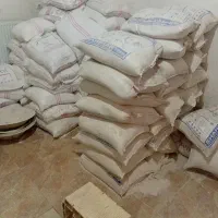 گچ سیاه وسفید