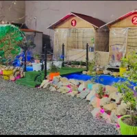 نیرو خانم برای کار در رستوران