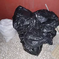 کود کفتر