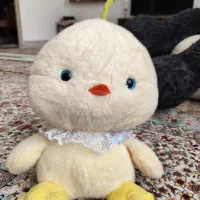 جوجه گل به سر