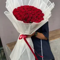 رز هلندی|گل و گیاه طبیعی|تهران, آهنگ|دیوار