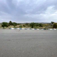 باغ-نخل