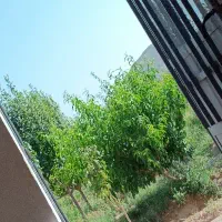 فرصت-استثنایی-فروش-خانه-باغ-گوجه-سبز-قابل-تهاتر