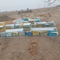 کندو دست دوم