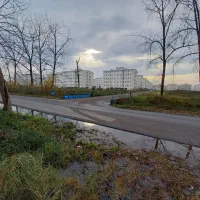 استخدام کارگر جهت باغبانی