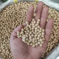 نخود درجه یک،گرون نخرید