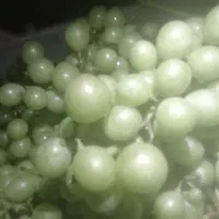 غوره درشت تمیز کسی خواست زود تر بیاد تا تموم نشده