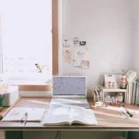 نگارش، سابمیت و اکسپت مقاله،مسیر حرفه‌ای انتشار