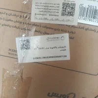 جارو برقی