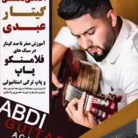اولین مرکز آموزش استاندارد گیتار
