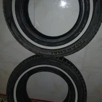لاستیک‌دورسفید‌مارشال