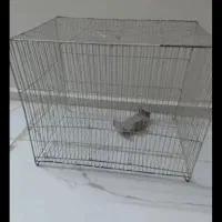 قفس پرنده باهمه لوازم