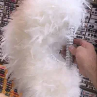 گالری بادبزن ها