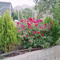 فروش خونه باغ سردسیری