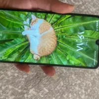پوکو c71|موبایل|ملارد, |دیوار