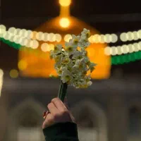 کاروان مشهد مقدس فوری