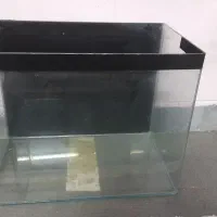 اکواریوم شیشه خم