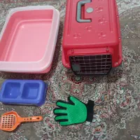 باکس سگ و گربه لوازم گربه