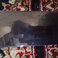 13pro max|موبایل|کرمان, |دیوار