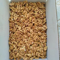 مغز گردو