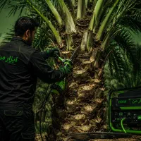 افقی بر درخت گرازی شارژی برقی خرما(ابزار من اقساط)