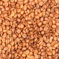 فروش قهوه مستقیم از رستری