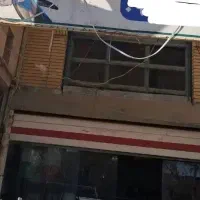پت شاپ و پرنده سرای هامون پت