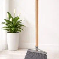 جارو و خاک‌انداز عروس