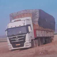 پرس گندم