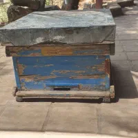 کندو زنبور عسل