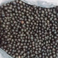 دانه یسر کیلویی ۷۵۰ تومن