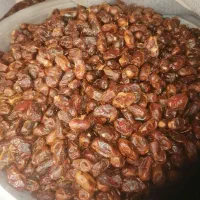 خرما|خوردنی و آشامیدنی|اهواز, پردیس دو|دیوار
