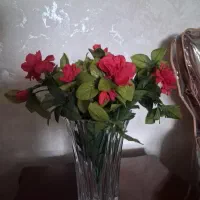 گل خارجی وگلدان سوگا ژاپن