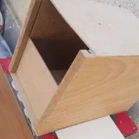 لانه عروس هلندی