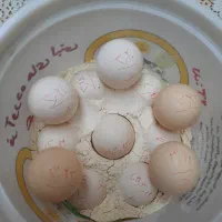 تخم مرغ نطفه دار نژاد گلین