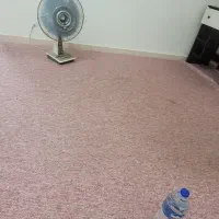 موکت پالاز پامچال