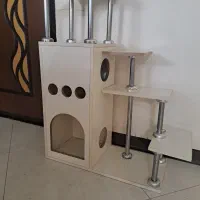 لونه گربه