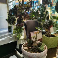 فروش واحد تجاری و مطب