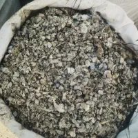 کود کبوتر