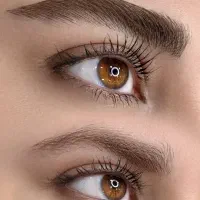 مدل میکروبلیدینگ توسط مستر اکادمی مریم حمزه ای