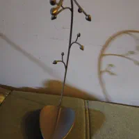 استند جا جواهری و پایه اکسسوری